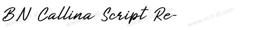 BN Callina Script Re字体转换